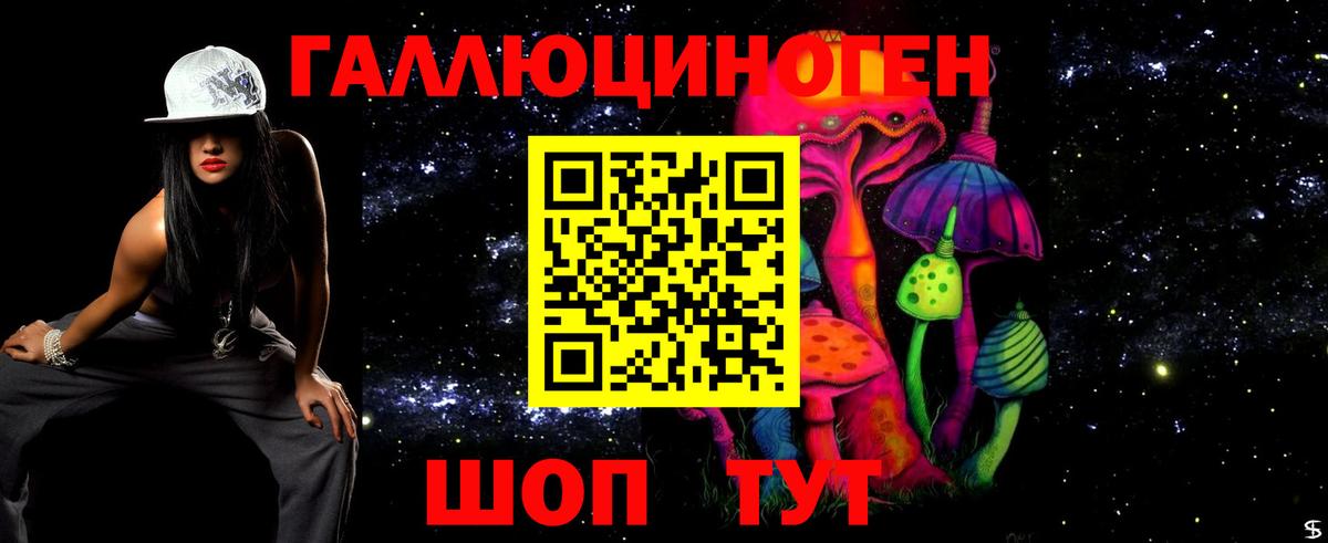 Псилоцибиновые грибы MAGIC MUSHROOMS Мичуринск