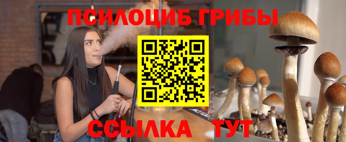 где купить наркотик  Вход с VPN  Мичуринск  Псилоцибиновые грибы Psilocybe 